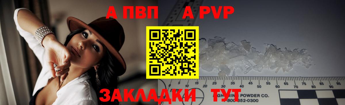 Альфа ПВП СК Выборг