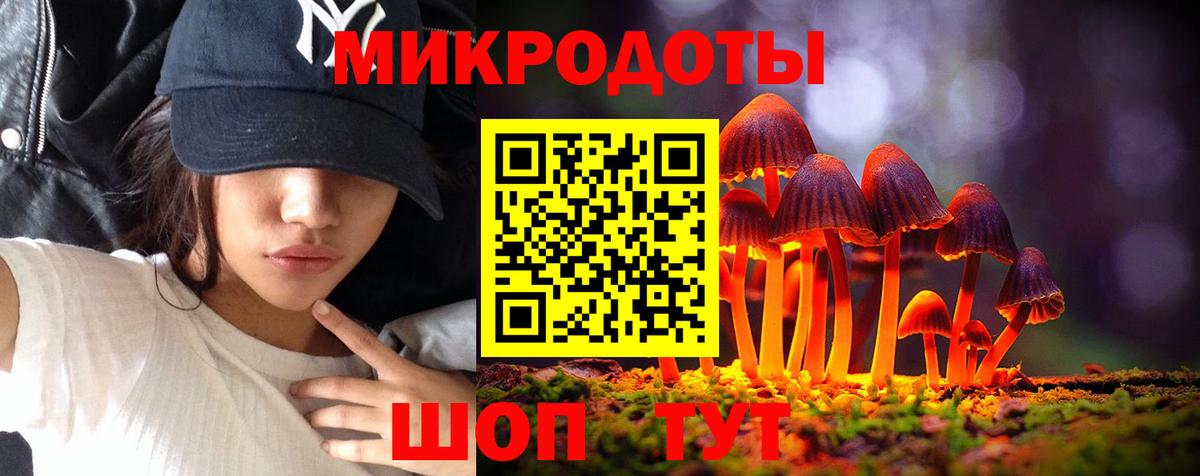 Галлюциногенные грибы Psilocybine cubensis  Вход с VPN  даркнет сайт  Выборг  Галлюциногенные грибы прущие грибы 