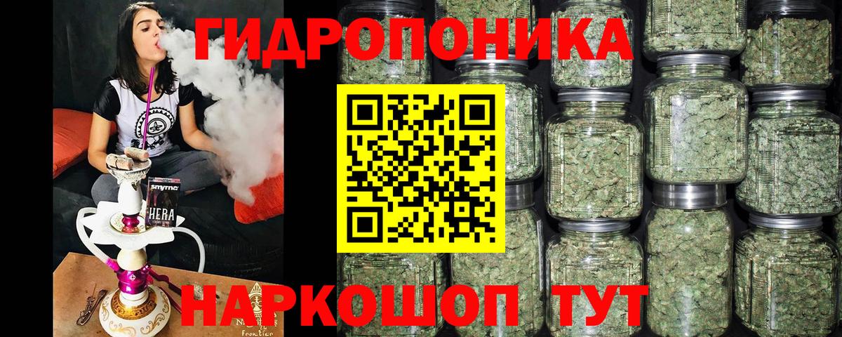 Марихуана сатива Выборг